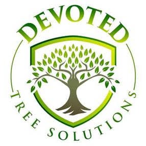 Devoted Tree Solutions Logo