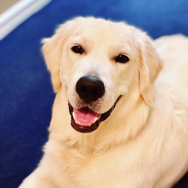 Images Jeff Noviello - State Farm Insurance Agent