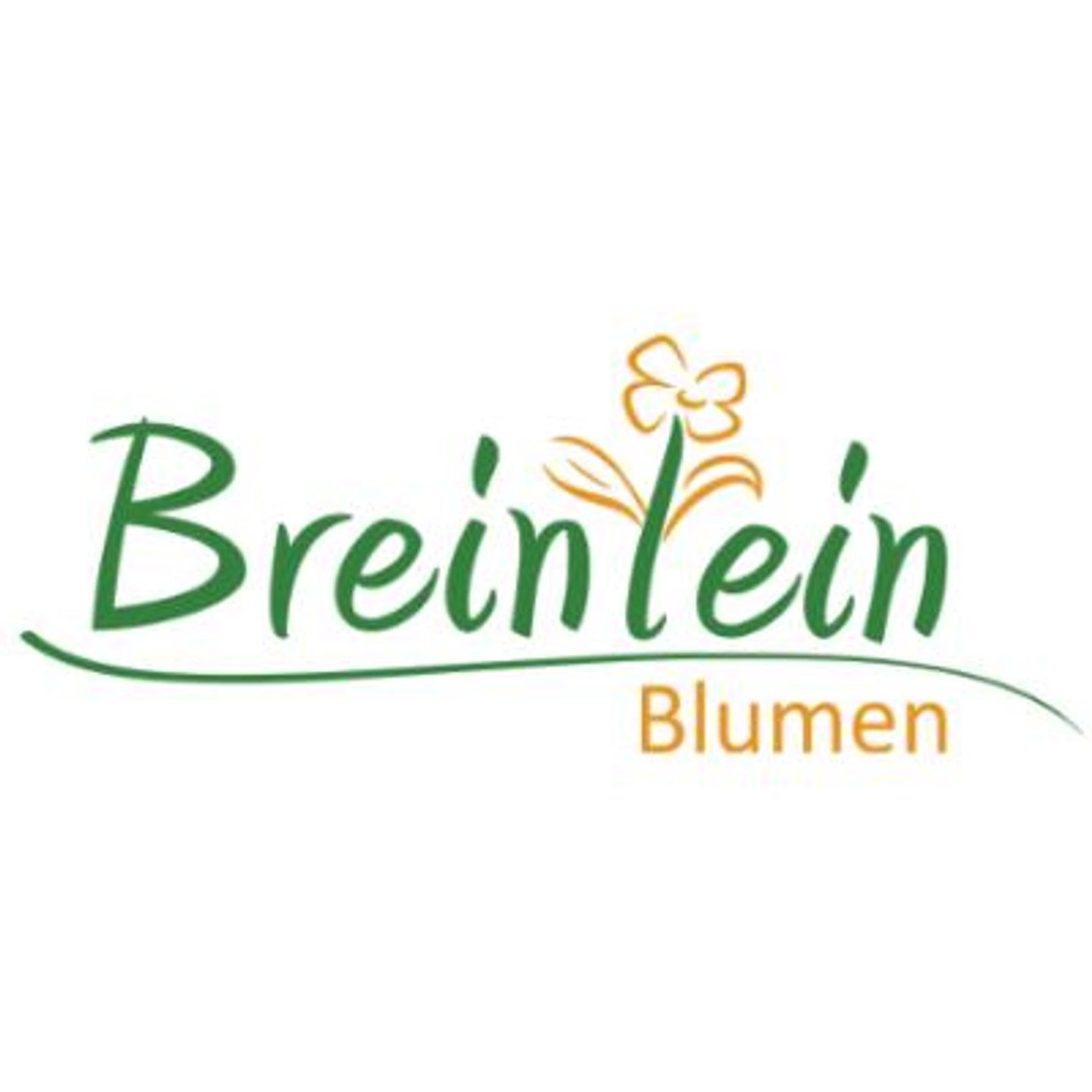 Blumen Breinlein  