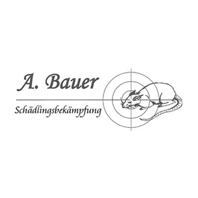 Logo A. Bauer Schädlingsbekämpfung