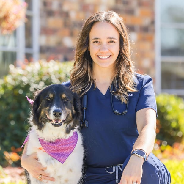 Images VCA Lake Jackson Animal Hospital