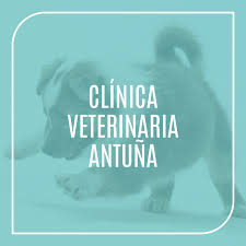 Images Clínica Veterinaria Antuña