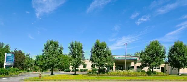 Images VCA Dunmore Animal Hospital