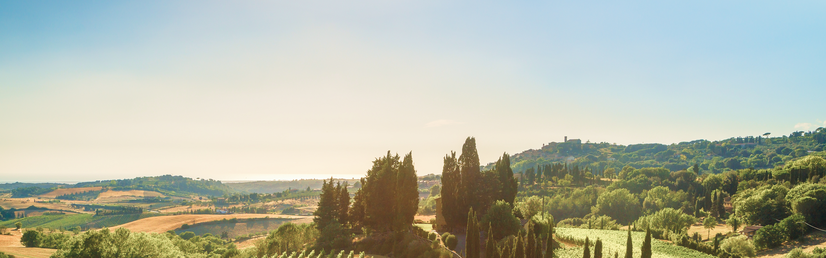 A sunlit Tuscan landscape.