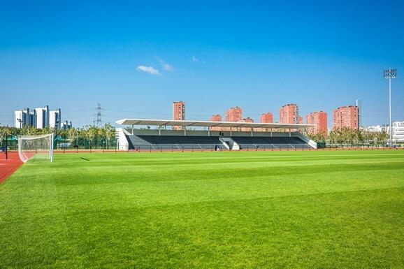 Images Las Vegas Artificial Grass
