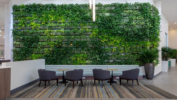 Images Holiday Inn Panama City by IHG