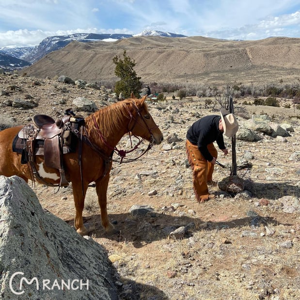 Images CM Ranch