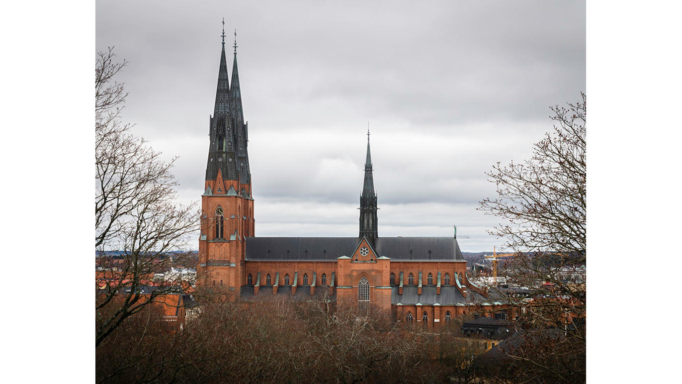 Images Dj Foto och Video - Fotograf Umeå