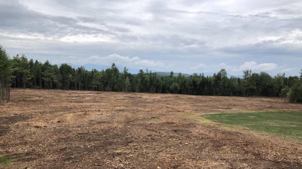 Images Durham Forestry Mulching Land Clearing and Stump Grinding