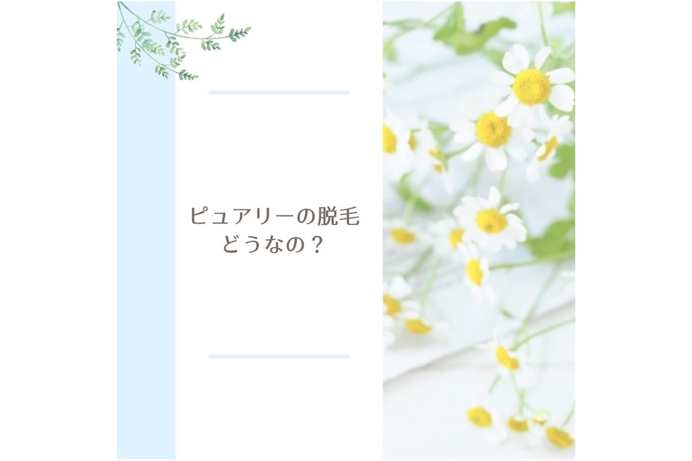 Images ピュアリーナチュラルライフスパ甲府本店