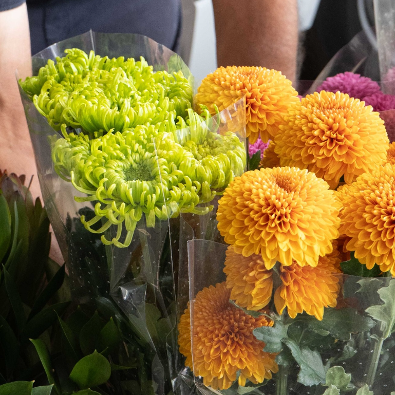 Images Flor Market