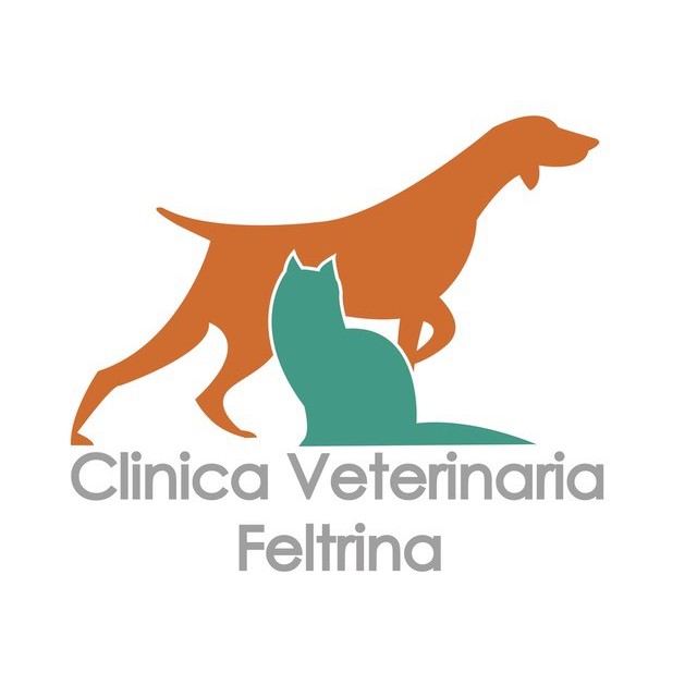 Clinica Veterinaria Feltrina - Veterinaria - ambulatori e laboratori Feltre