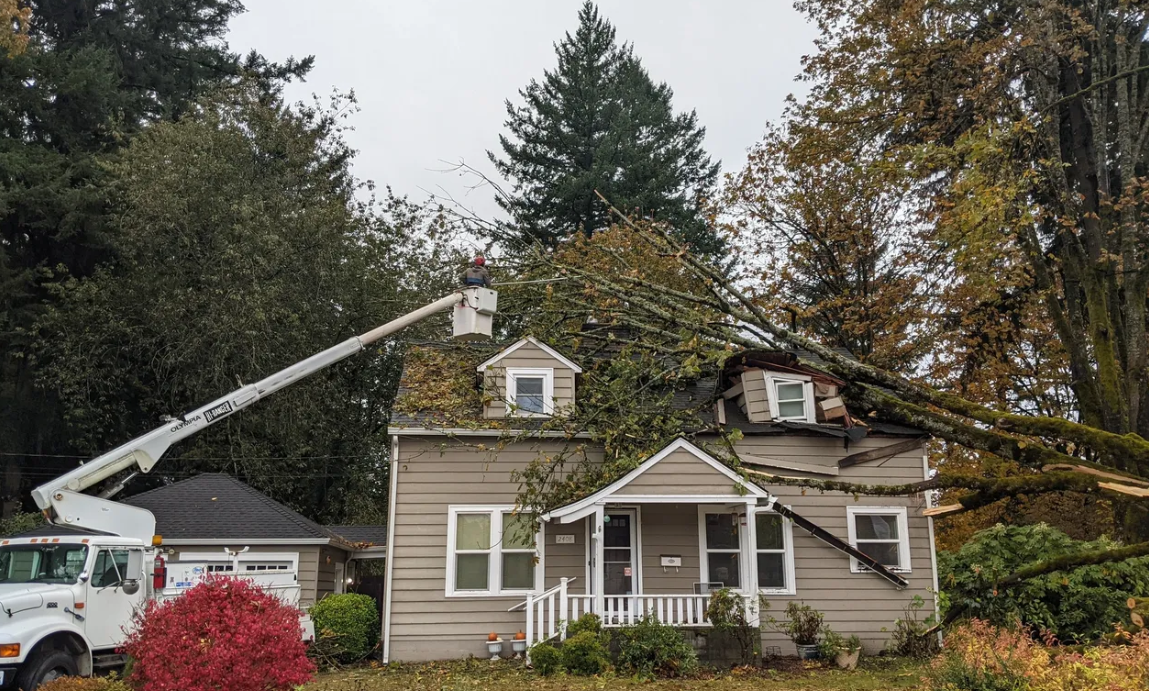 White's Tree Care Image