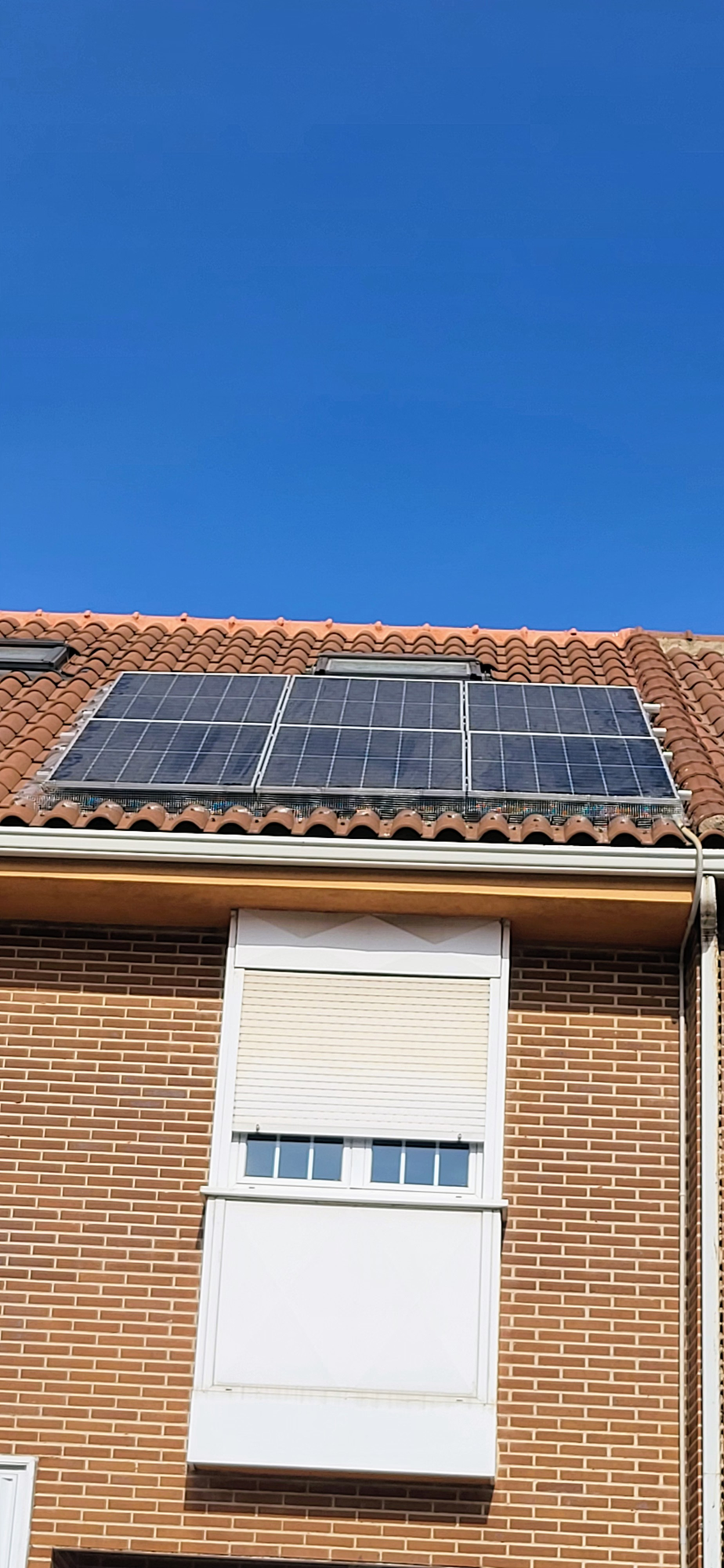 Images Bio Vector Control