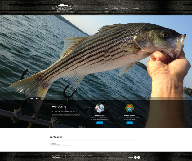 Images Blue Lion Digital