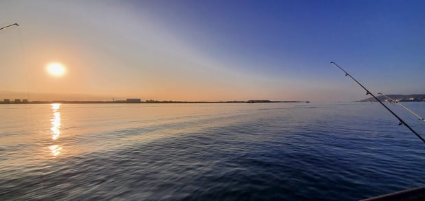 Images SoCal Eco Tours