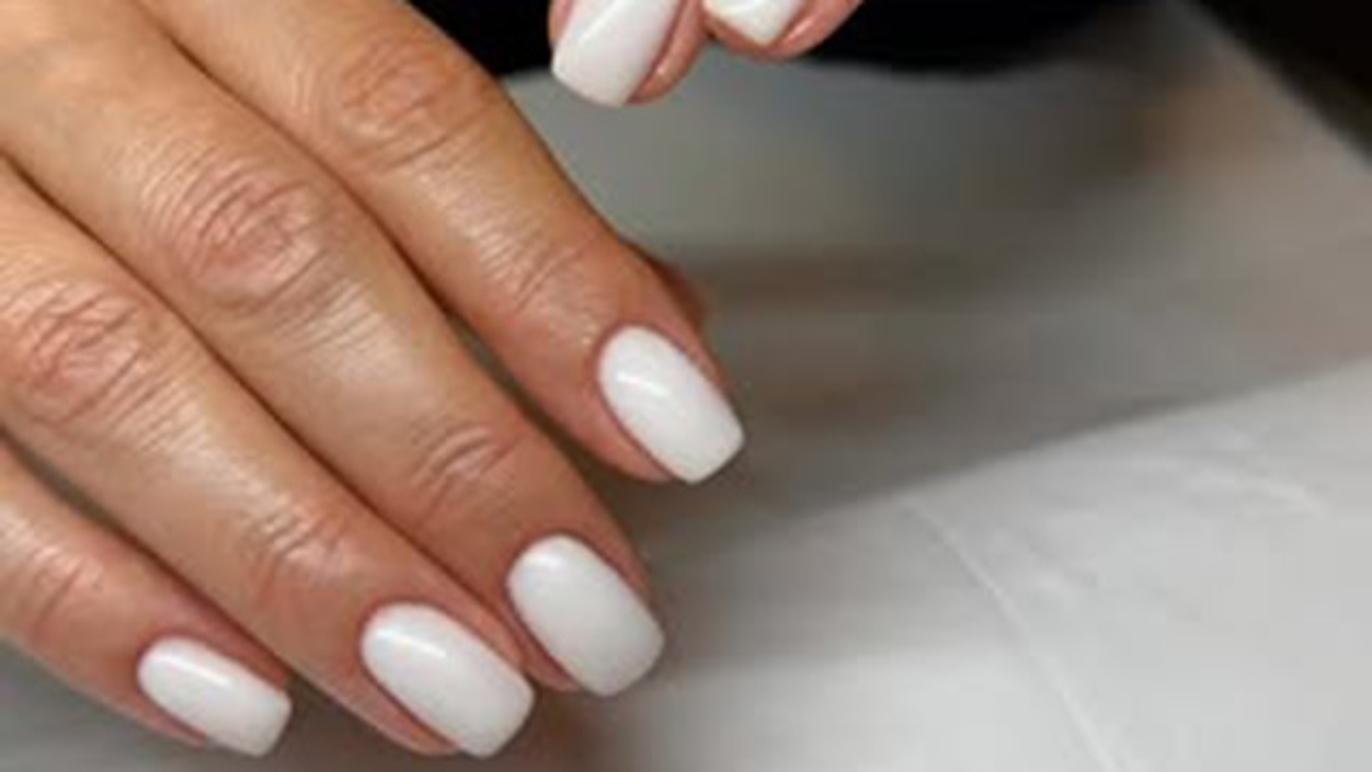 Images Professional Beauty By Martini