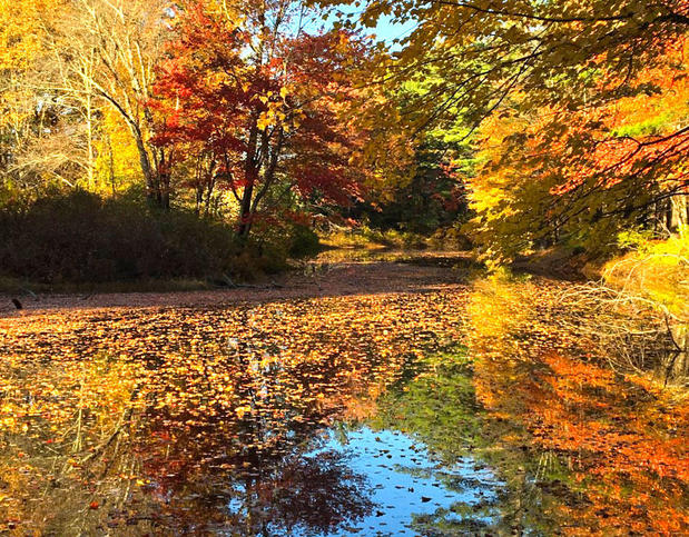 Images Pine Acres Campground