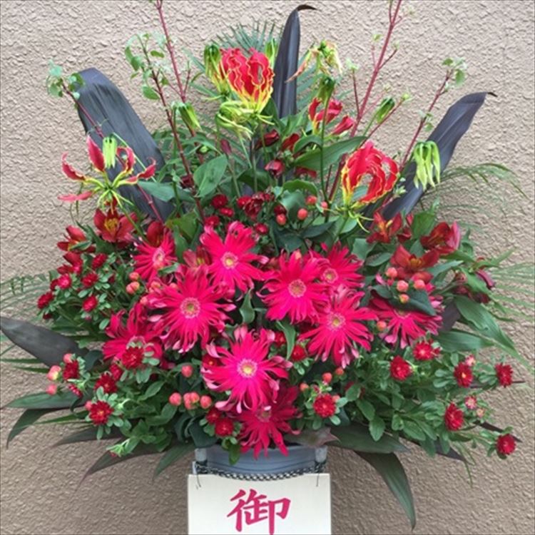 Images 花年