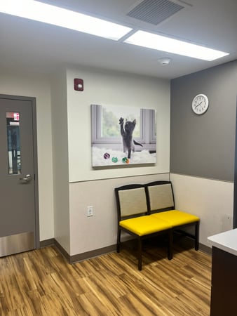 Images VCA Castle Shannon Animal Hospital