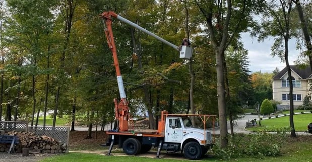 Images Vivar Tree Services