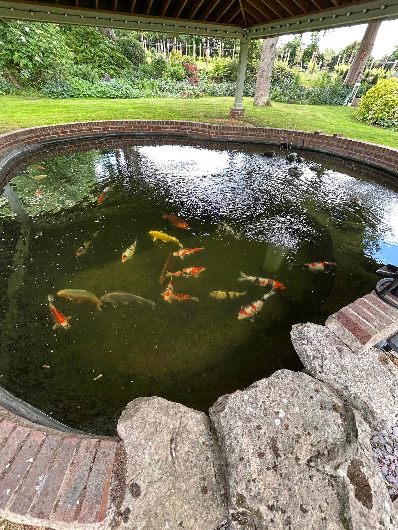 Images SJH Ponds & Aquariums