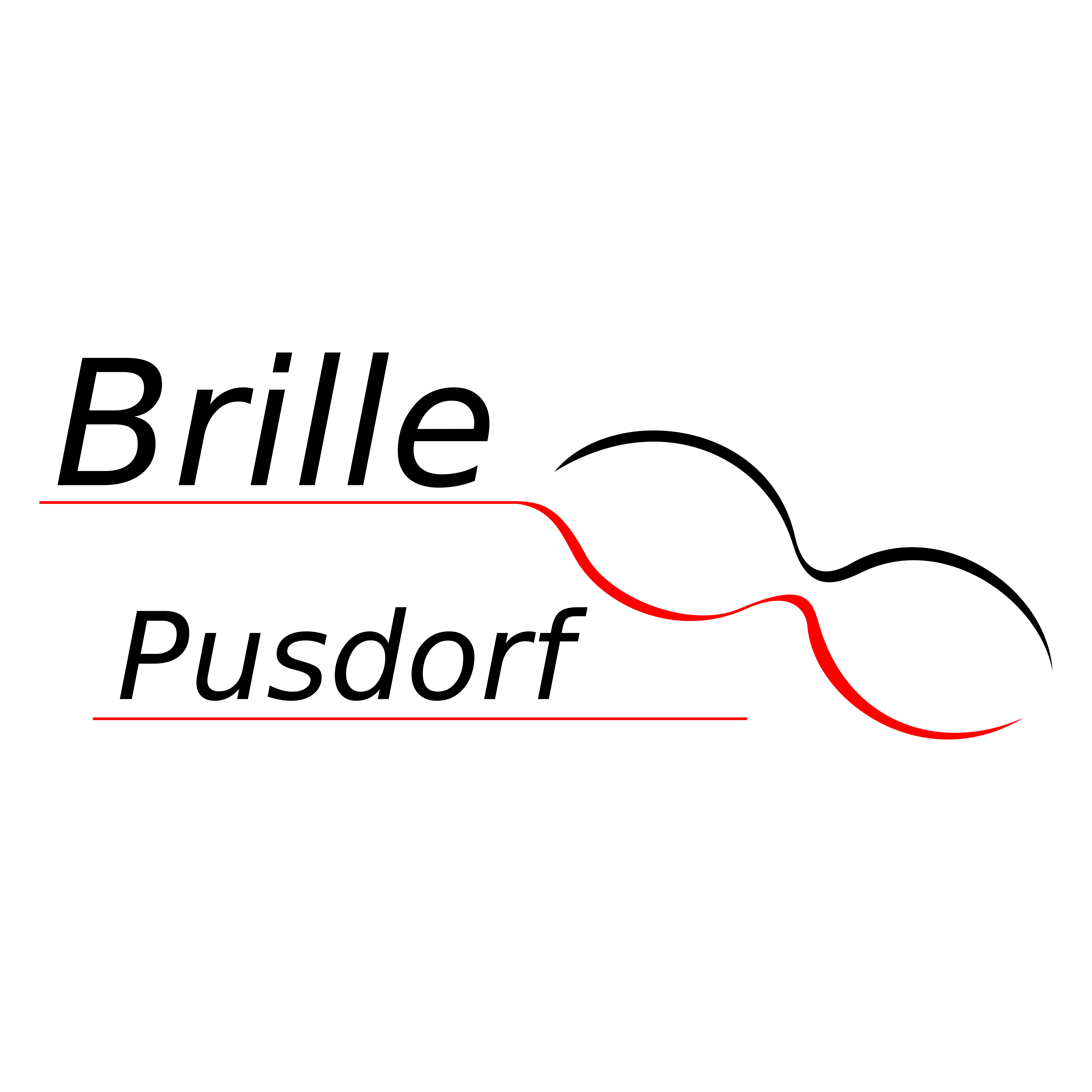 Brille Pusdorf in Bremen - Logo