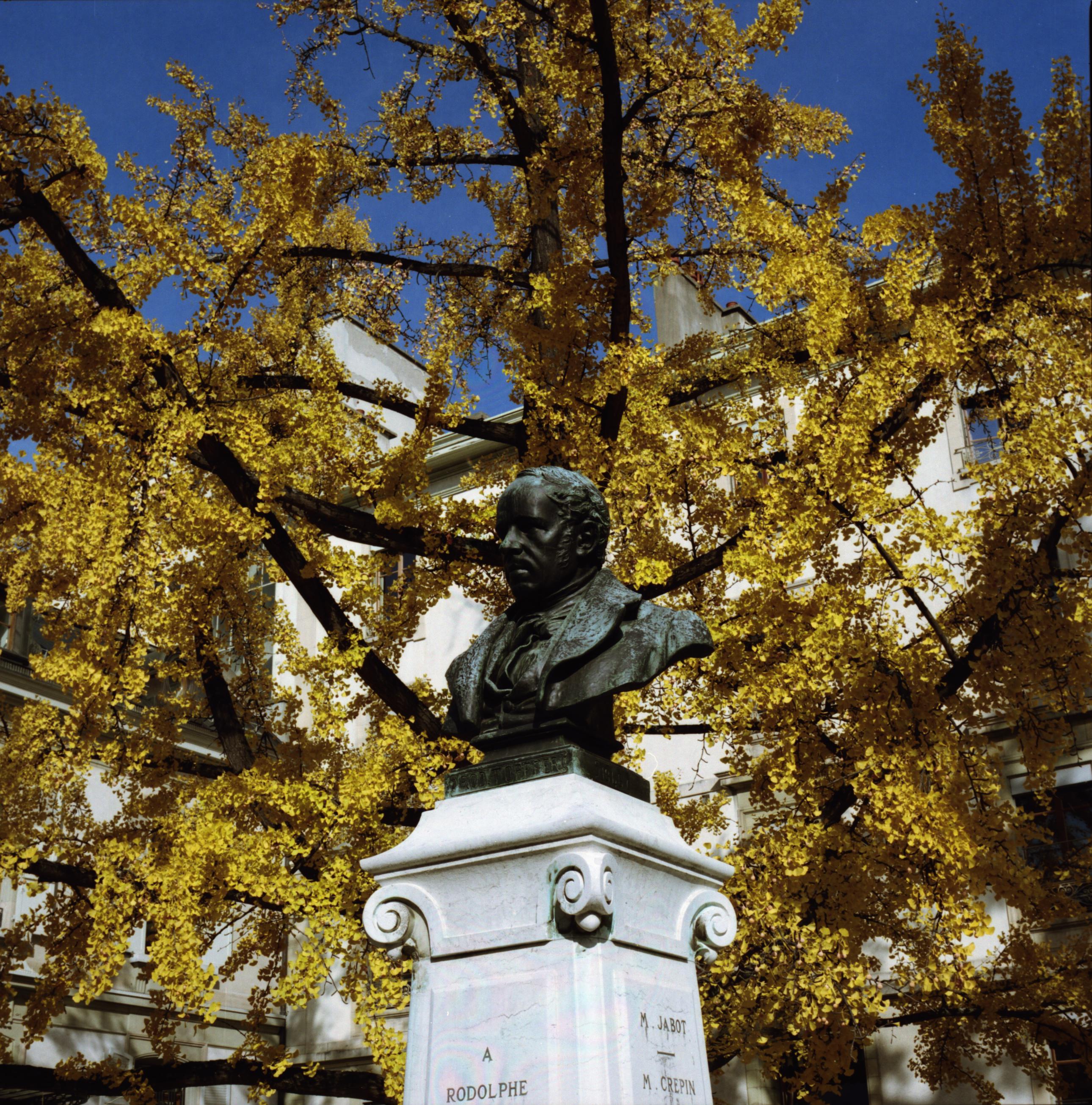 Bilder Gregorc, de Candolle & Arnbäck, Notaires