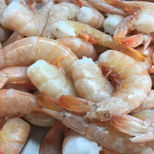 Images Martin Fish Co LLC