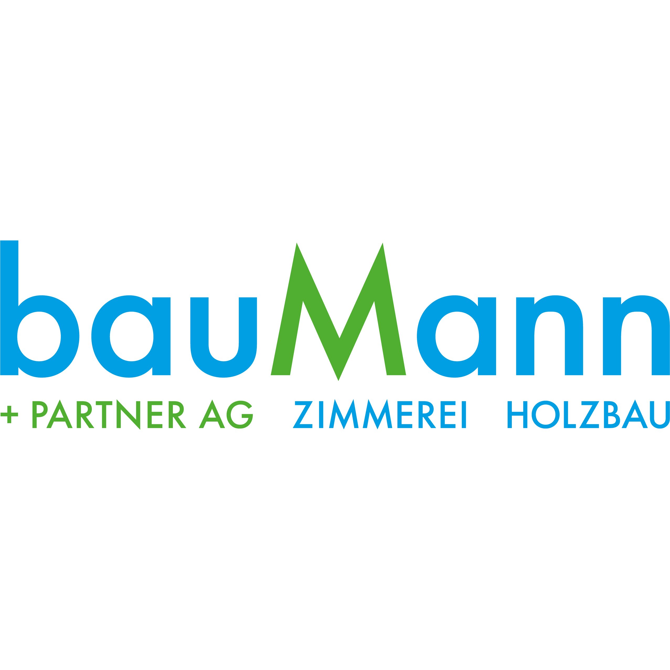 Baumann + Partner AG Logo