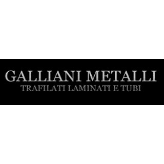 Gm Galliani Metalli Logo