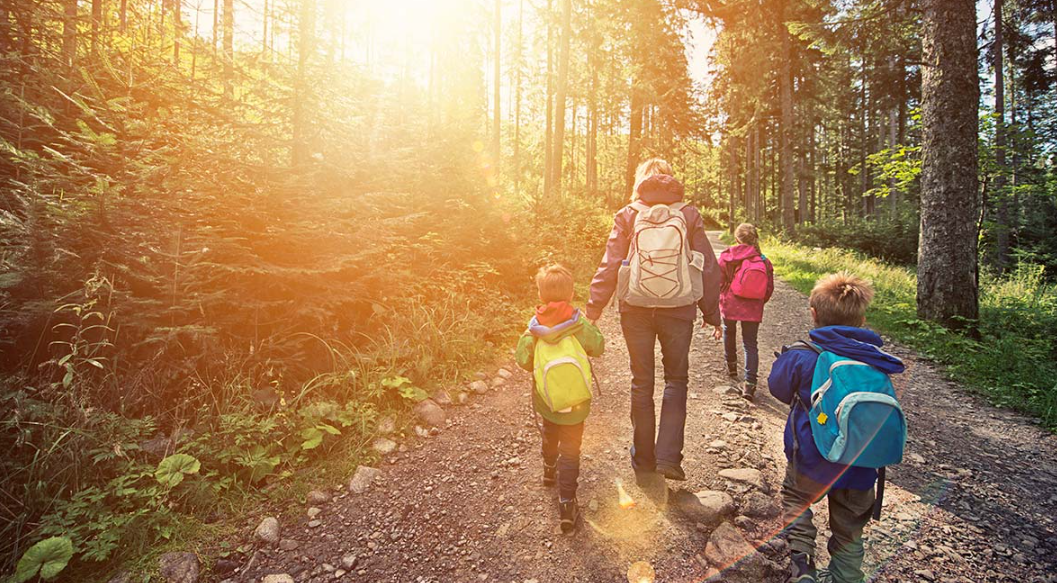 Images Saimaa Life & Light