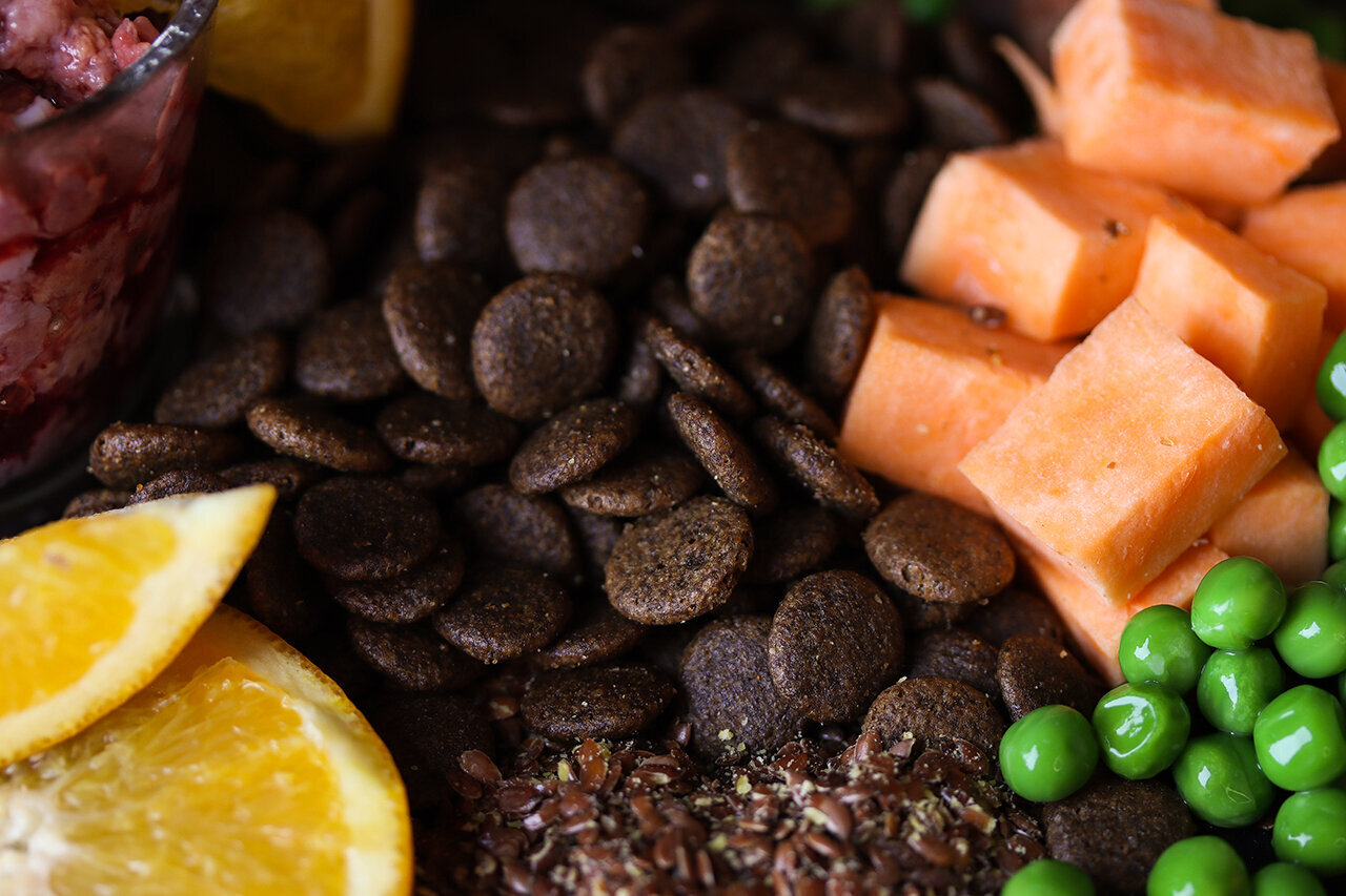 Bilder Green Pet Shop