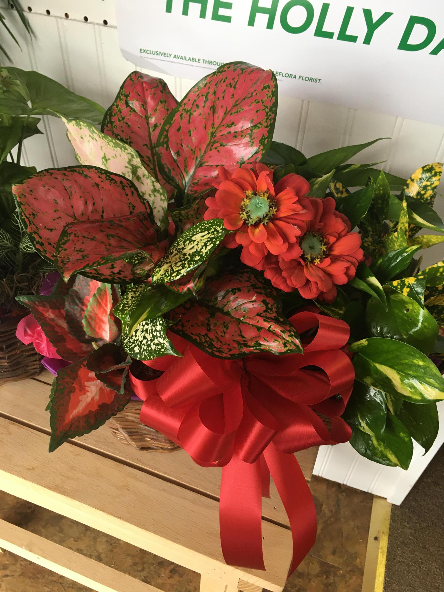 Images Seymour Florist
