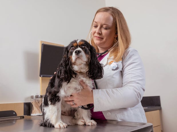 Images Banfield Pet Hospital