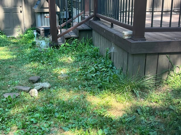 Images Rustic Cleanout Service