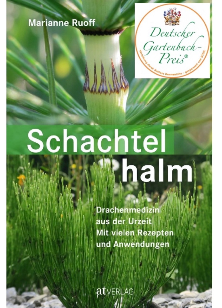 Praxis für Akupunktur, TCM, Phytotherapie, Kräutermedizin, Tibetische Medizin, Kirchenfeldstrasse 31 in Bern