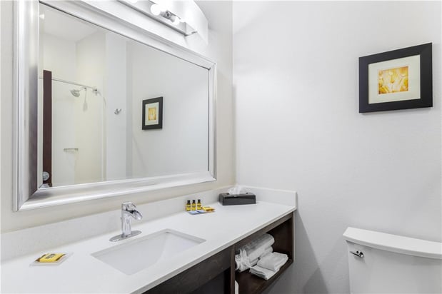 Images Best Western Plus Waller Hotel
