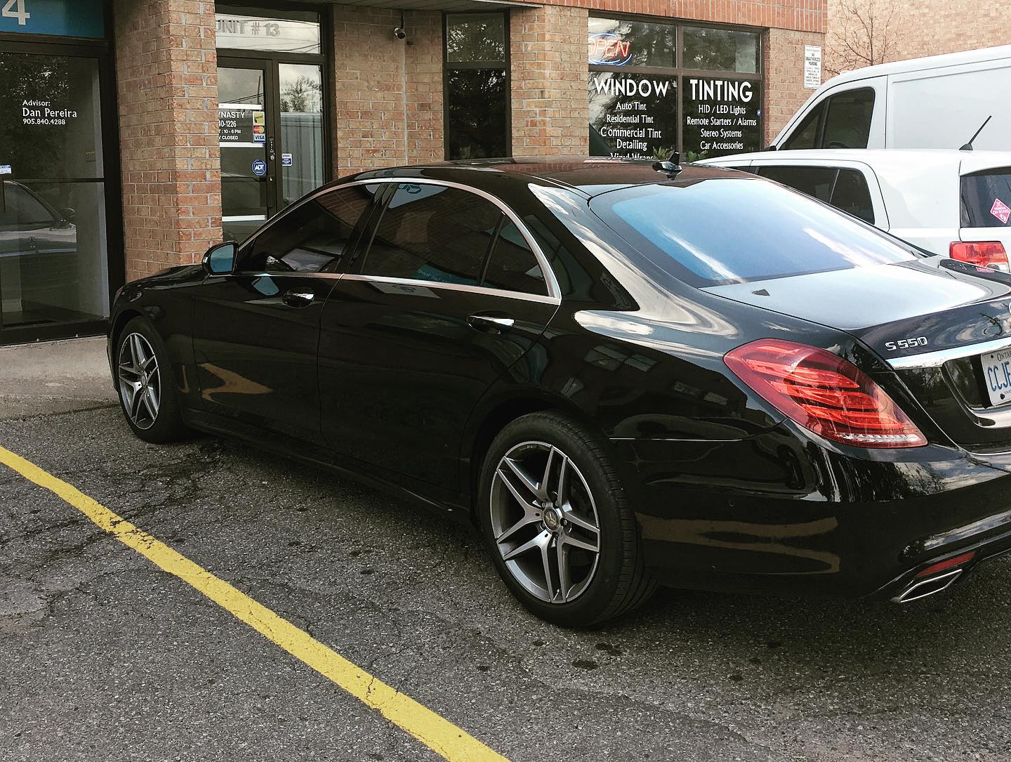 Tint Dynasty Limited