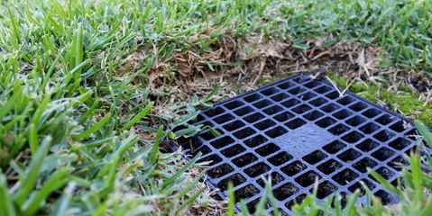 Ways to Ensure Proper Drainage in your Lawn and Landscape Sharp Lawn Inc. Nicholasville (859)253-6688