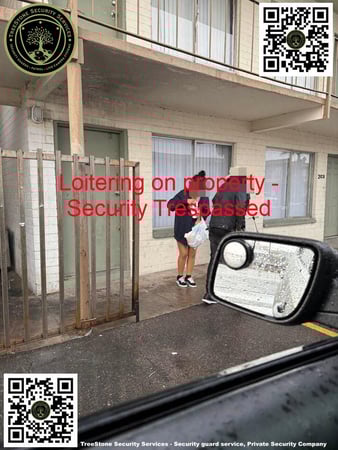 Images TreeStone Security Services
