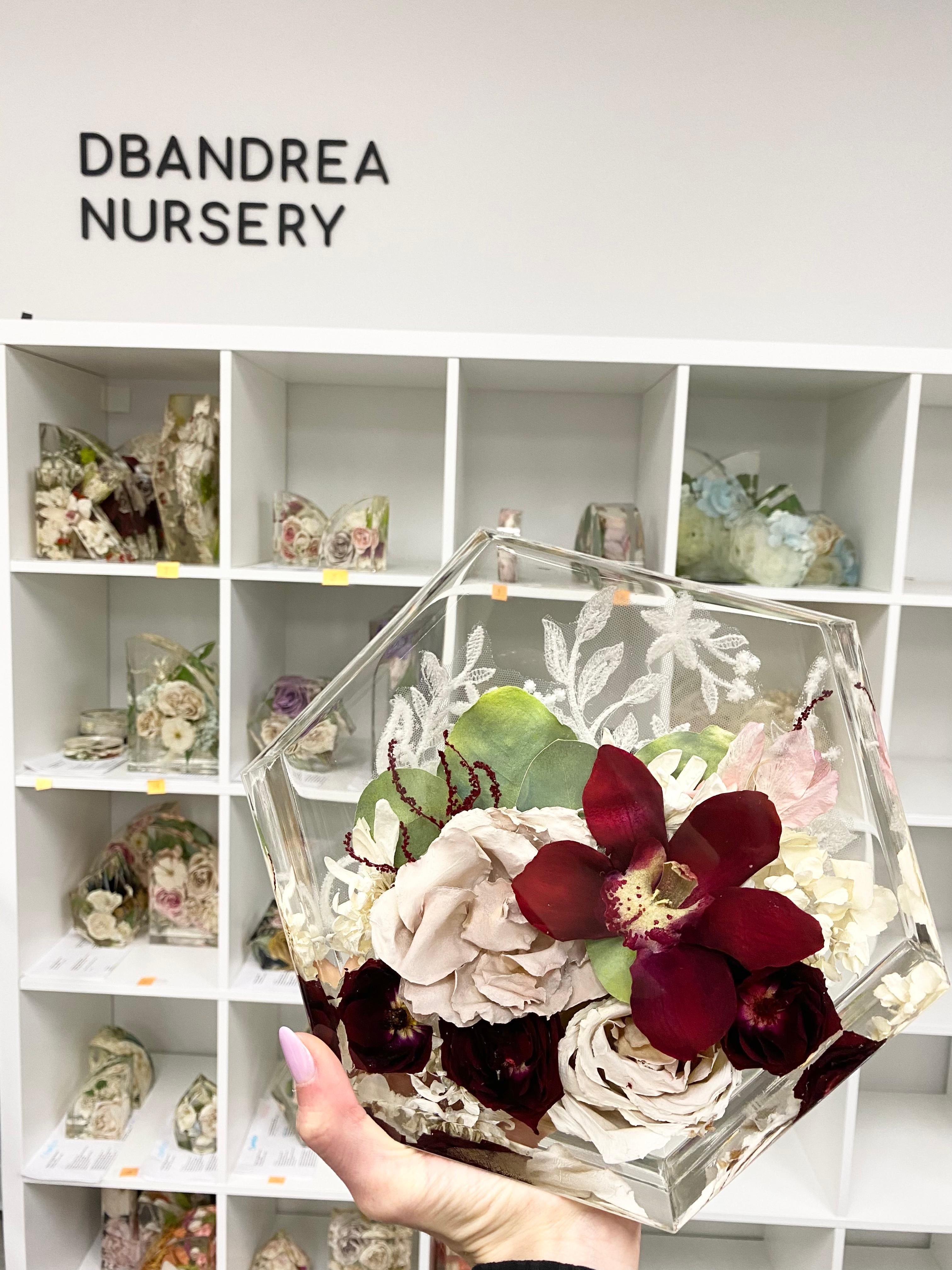 The Nursery At DBANDREA