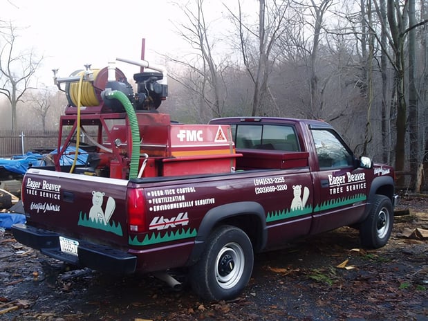 Images Eager Beaver Tree Service