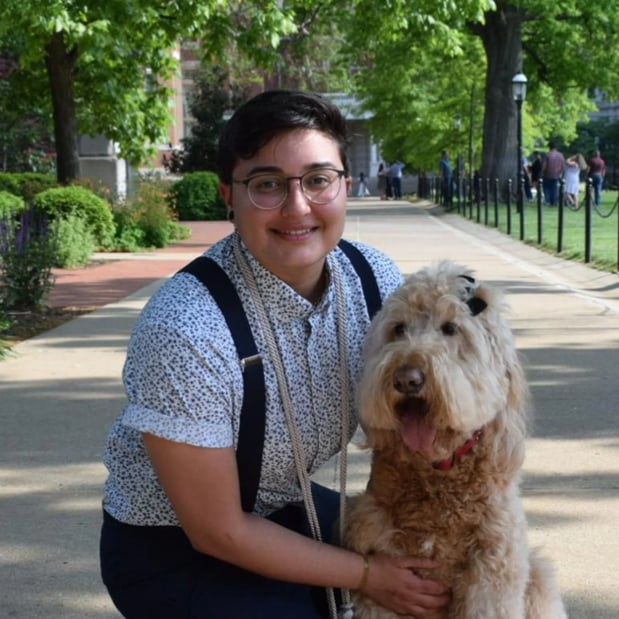 Images Dallas Veterinary Hospice