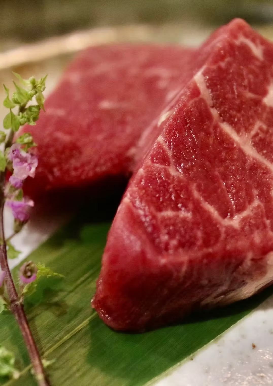 Images MATSUDO MONJA