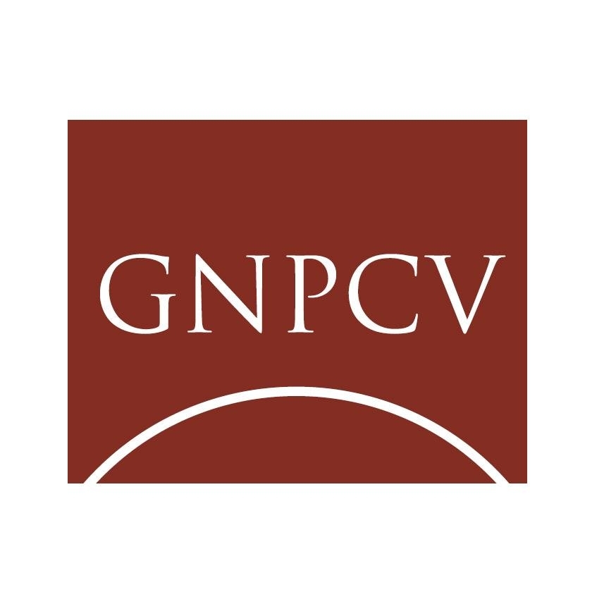 Gaines, Novick, Ponzini, Cossu & Venditti, Llp