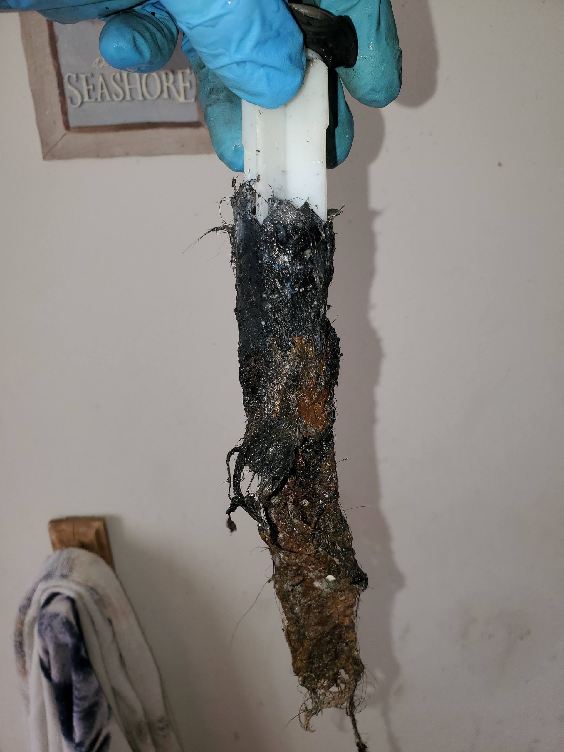 A gloved hand holds a removed drain component coated in thick black sludge, hair, and buildup, highlighting severe pipe blockage and the effectiveness of professional drain cleaning and maintenance service.