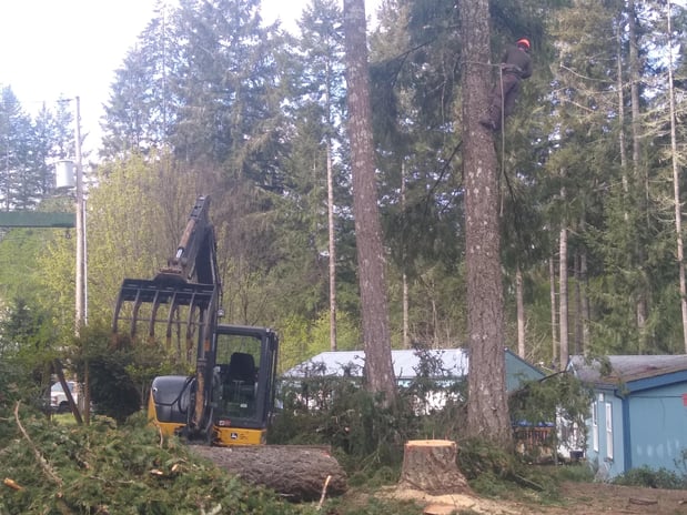Images Tobin Bros Excavation and Tree Services