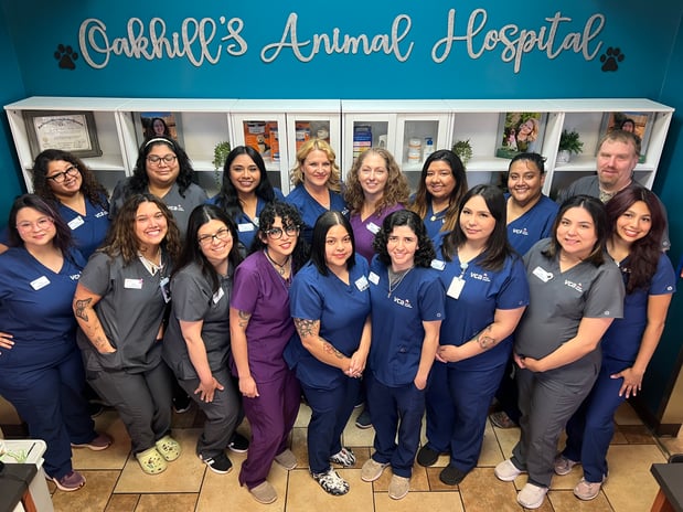 Images VCA Oak Hills Animal Hospital