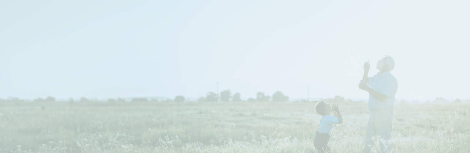 A grandfather and grandchild blowing bubbles in a field.